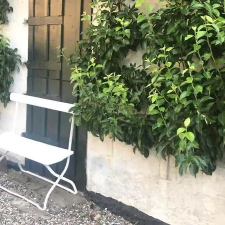 4336-borre-busenevej-36 Feriehus Borre