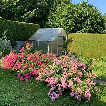 4336-borre-busenevej-36 * Borre