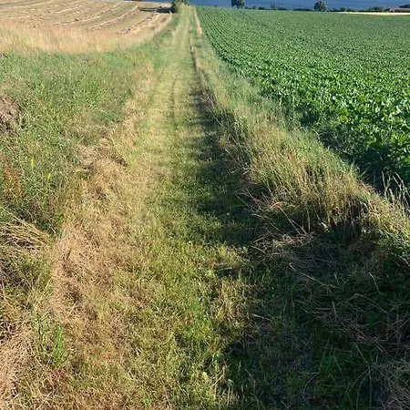 4336-borre-busenevej-36 Borre