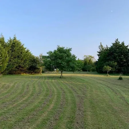 Feriehus 4336-borre-busenevej-36