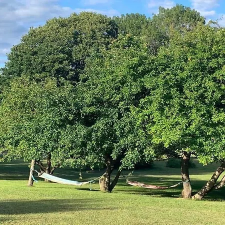 4336-borre-busenevej-36 Borre