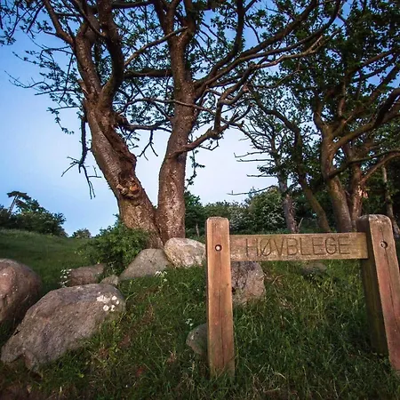 4336-borre-busenevej-36 Feriehus