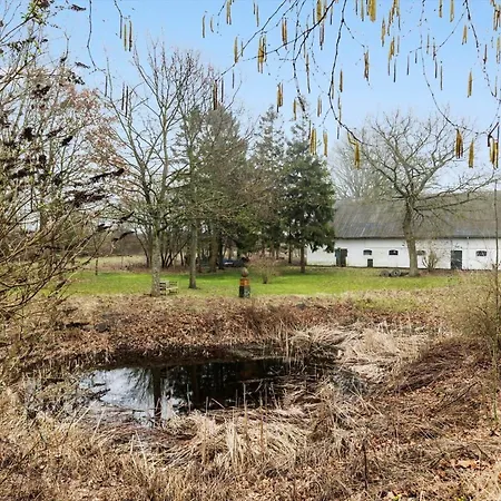 Dom wakacyjny 4336-borre-busenevej-36 *